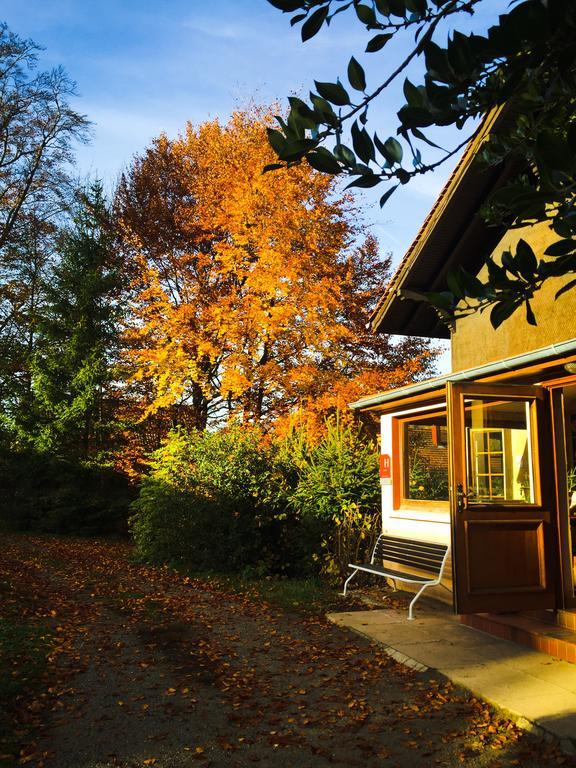 Le Chalet Luttenbach-pres-Munster Екстер'єр фото
