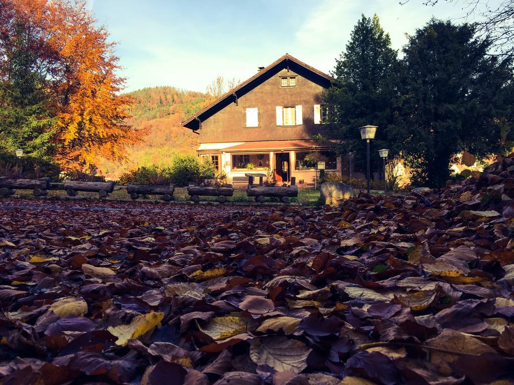 Le Chalet Luttenbach-pres-Munster Екстер'єр фото