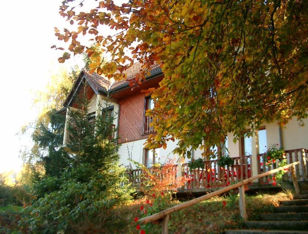 Le Chalet Luttenbach-pres-Munster Екстер'єр фото