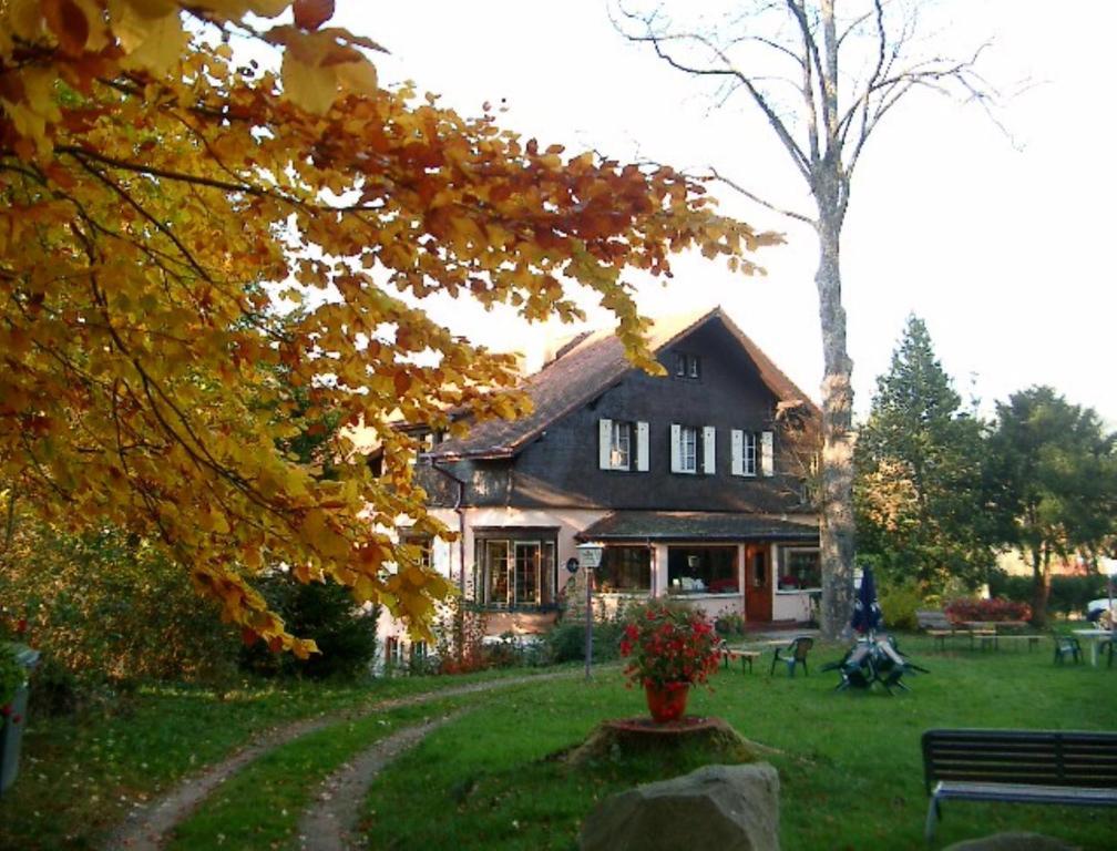 Le Chalet Luttenbach-pres-Munster Екстер'єр фото